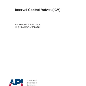 API Spec 19ICV First Edition pdf