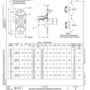 AIA NAS1870 pdf