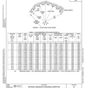 AIA NAS580 pdf