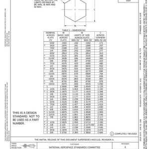 AIA NASM21132 pdf