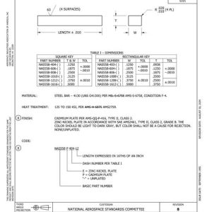 AIA NAS558 pdf