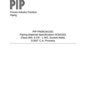 PIP PN09CM1S01 pdf