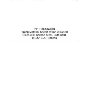 PIP PN03CS2B01 pdf