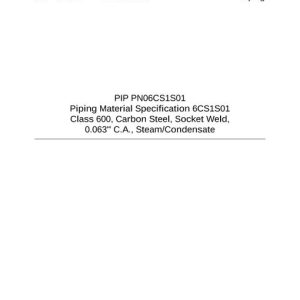 PIP PN06CS1S01 pdf