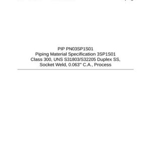 PIP PN03SP1S01 pdf