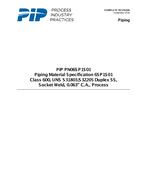 PIP PN06SP1S01 pdf