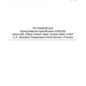 PIP PN06CB1S01 pdf