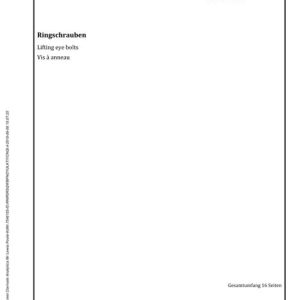 DIN 580 pdf