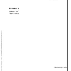 DIN 582 pdf