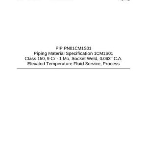 PIP PN01CM1S01 pdf