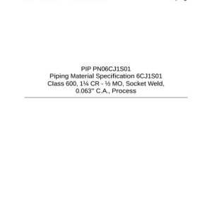 PIP PN06CJ1S01 pdf