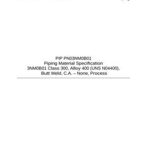 PIP PN03NM0B01 pdf