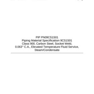 PIP PN09CS1S01 pdf