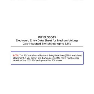 PIP ELSSG13 EEDS pdf