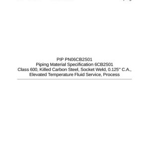 PIP PN06CB2S01 pdf