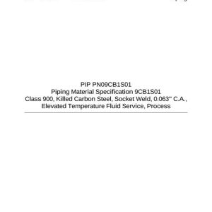 PIP PN09CB1S01 pdf