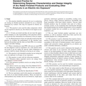 ASTM F2621/F2621M-21 pdf