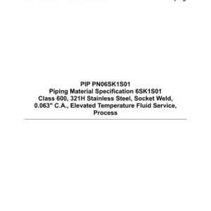 PIP PN06SK1S01 pdf