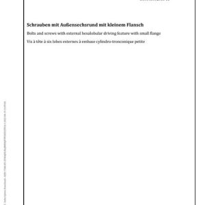 DIN 34800 pdf