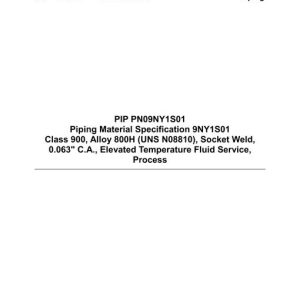 PIP PN09NY1S01 pdf