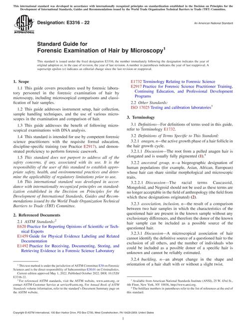 ASTM E3316-22 pdf