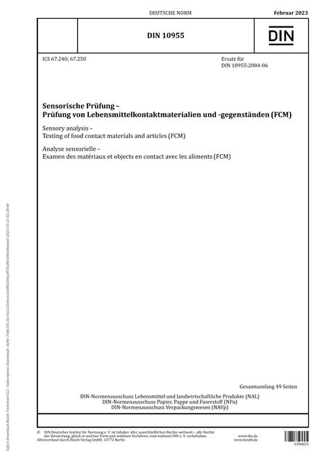 DIN 10955 pdf