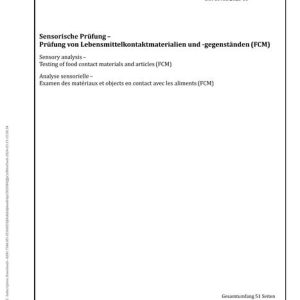 DIN 10955 pdf