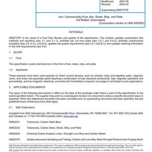 SAE AMS7707F pdf