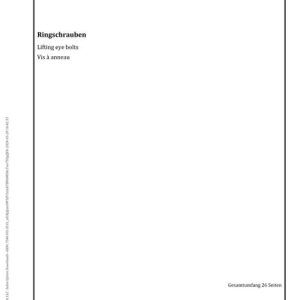 DIN 580 pdf