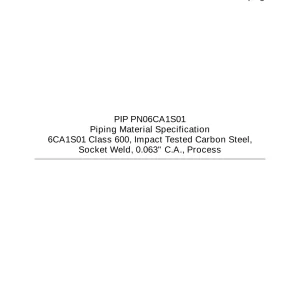 PIP PN06CA1S01 pdf