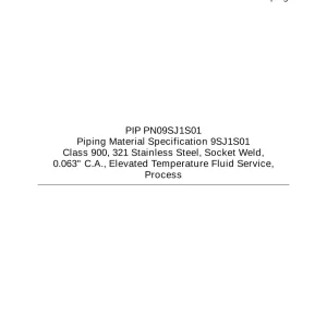 PIP PN09SJ1S01 pdf