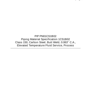 PIP PN01CS1B02 pdf