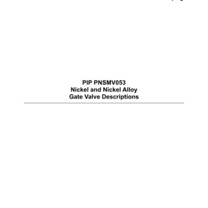 PIP PNSMV053 pdf