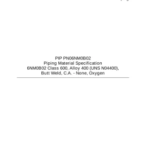 PIP PN06NM0B02 pdf