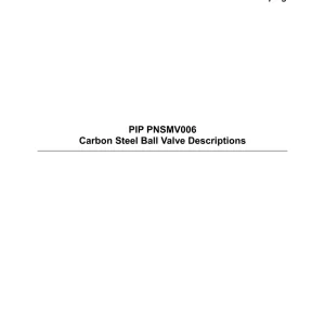 PIP PNSMV006 pdf