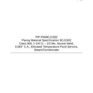 PIP PN09CJ1S02 pdf