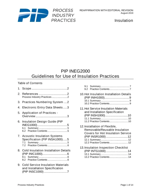 PIP INEG2000 pdf