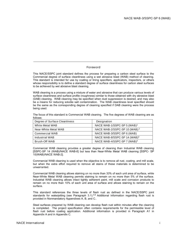 NACE SP0815-2015 pdf