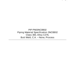 PIP PN03NC0B02 pdf