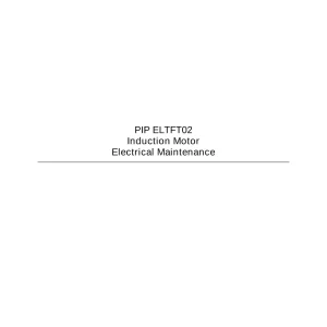 PIP ELTFT02 pdf