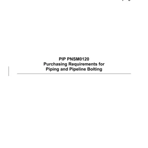 PIP PNSM0120 pdf